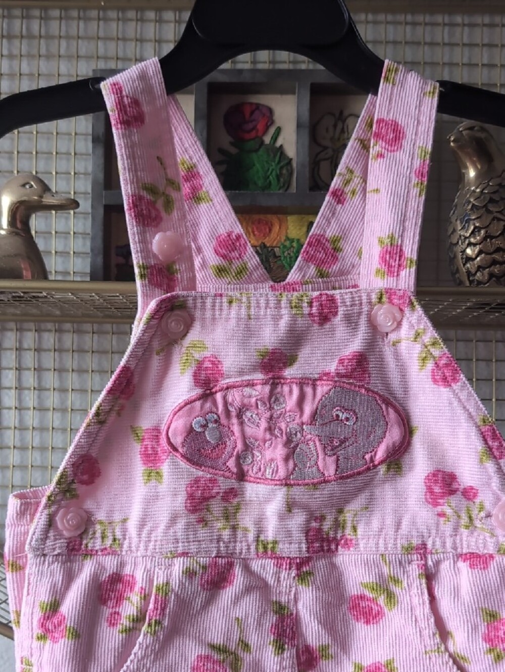 Sesame Street Pink Floral Girls' Overalls, Elmo And Big Bird - Picture 2 of 12